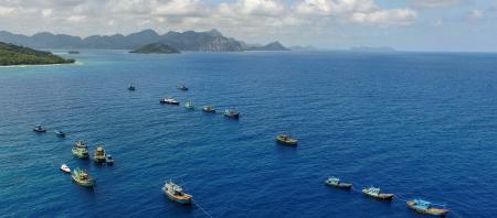 Indonesia in the South China Sea: Going it alone